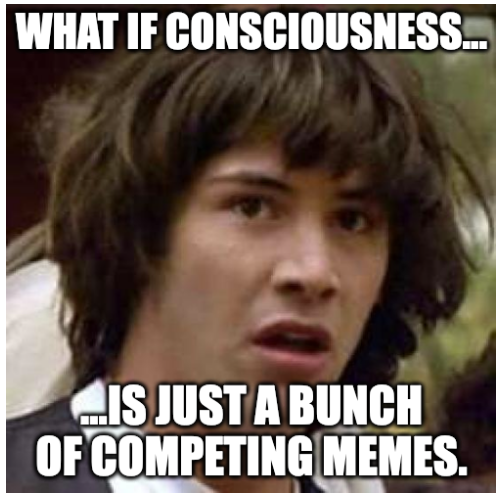 Memes make us human by shaping our consciousness