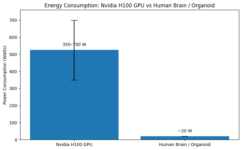 Contrast between silicon and organoid intelligence