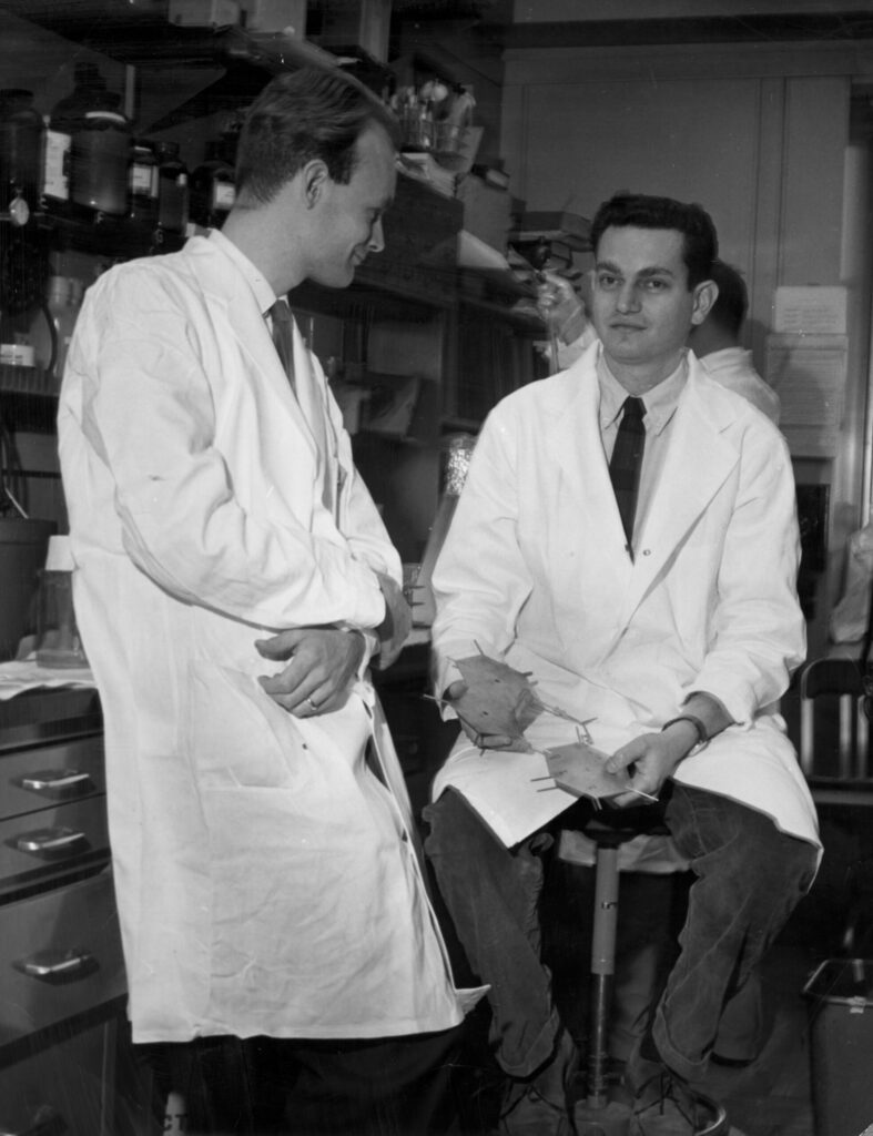 Nierenberg and Matthaei were early pioneers in artificial metabolism