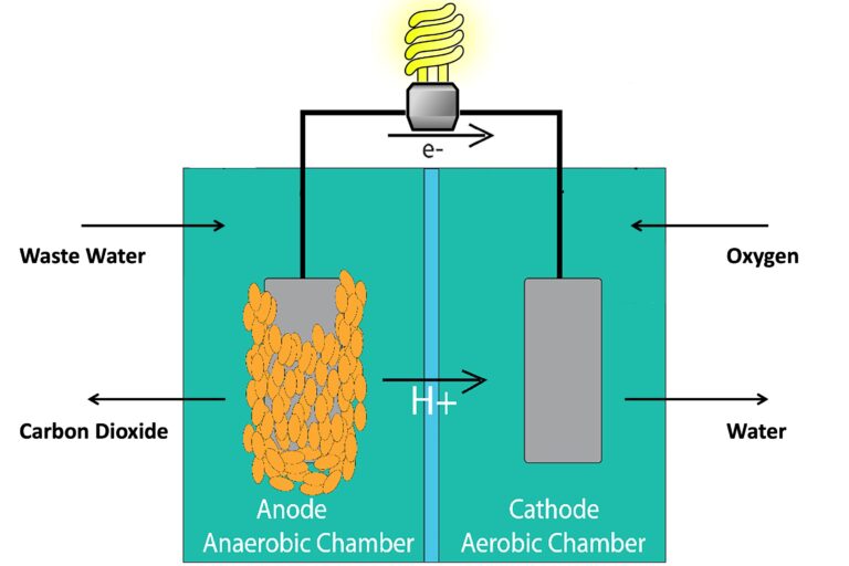 A schematic of a microbial fuel cell