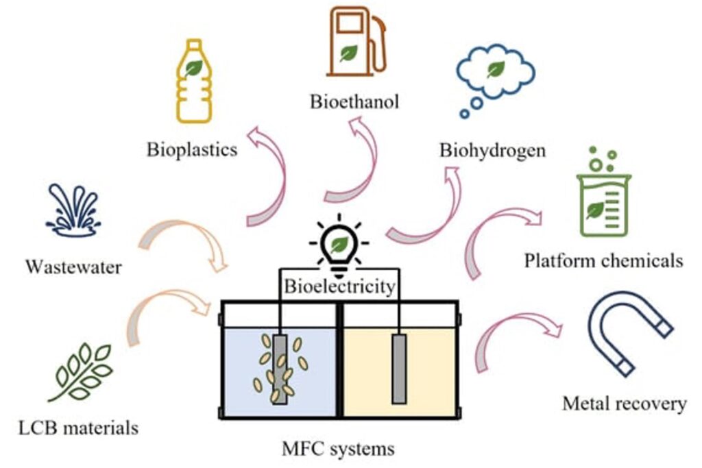 Microbial Energy Conversion Cell Input and Output Possibilities